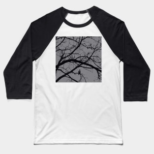 Halloween in black and gray; hawk raven vulture crow Baseball T-Shirt